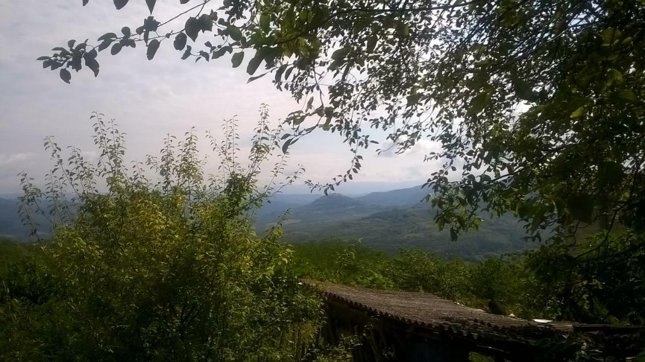 Holiday Home Vizinada Bagian luar foto