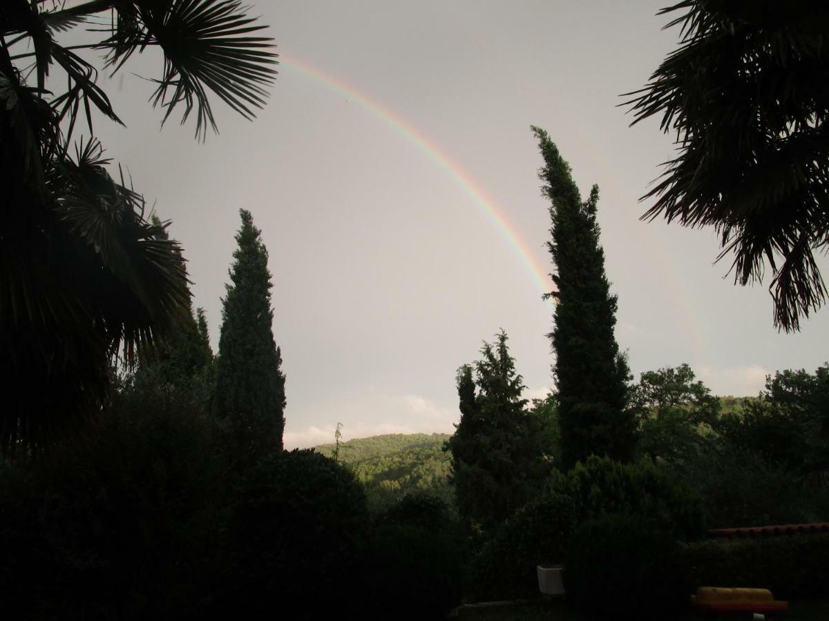 Holiday Home Vizinada Bagian luar foto